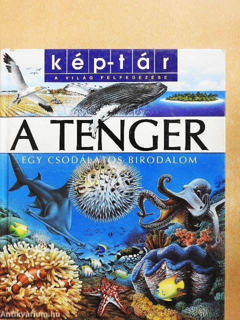 A tenger