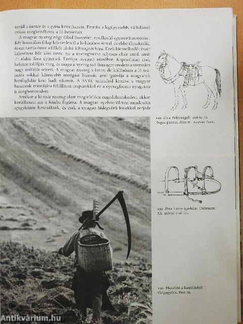 Magyar néprajz