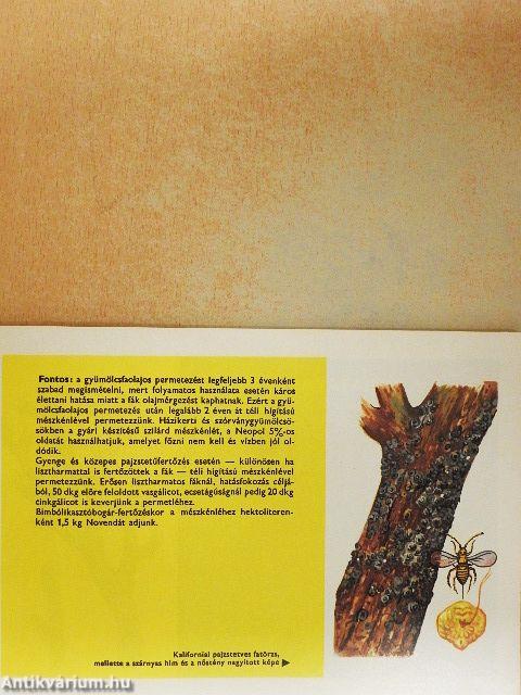 Alma- és körtefák permetezésének sorrendje