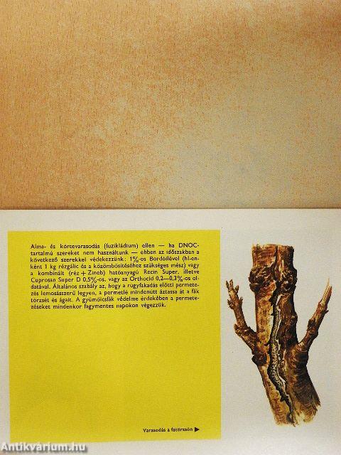 Alma- és körtefák permetezésének sorrendje