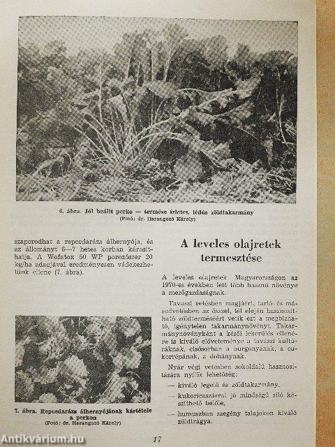 Új takarmánynövények termesztése