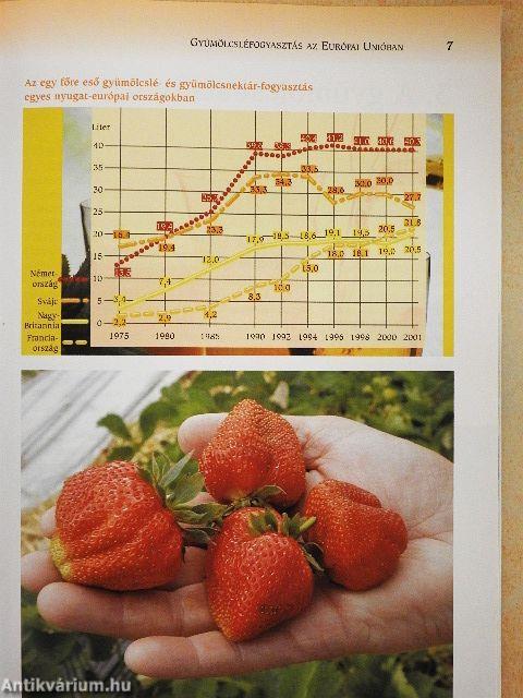 Gyümölcslevek házi készítése