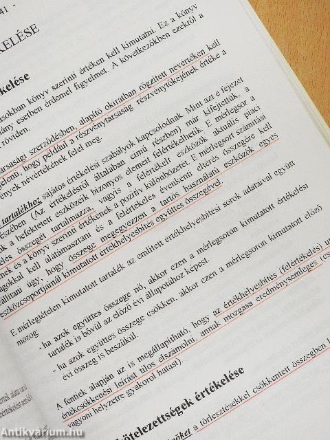 Számviteli alapismeretek 1997.