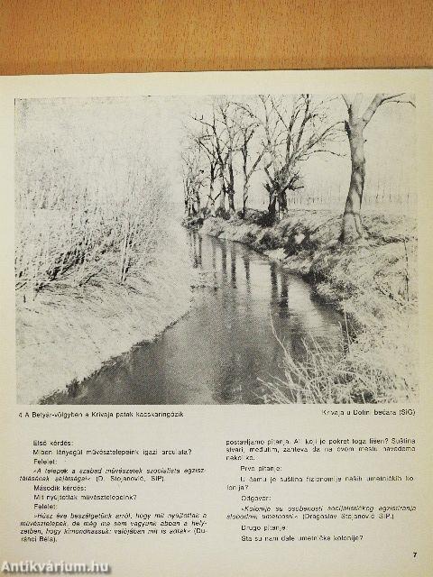 A topolyai művésztelep húsz esztendeje