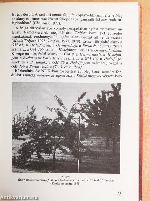 Törpegyümölcsfa-nevelés