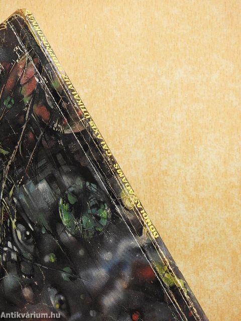 Galaxis útikalauz stopposoknak