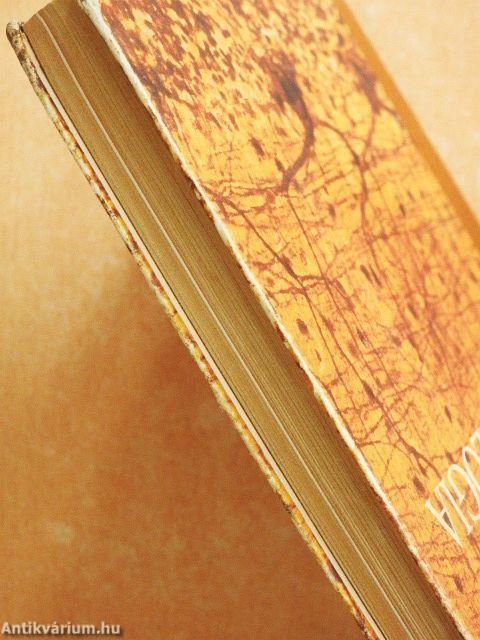 Neurológia, neuropszichológia