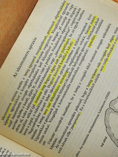 Neurológia, neuropszichológia