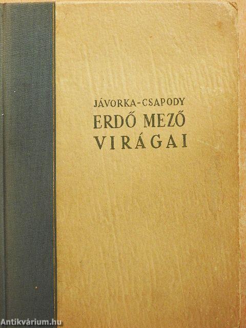 Erdő mező virágai