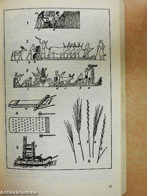 A Biblia világa képekben