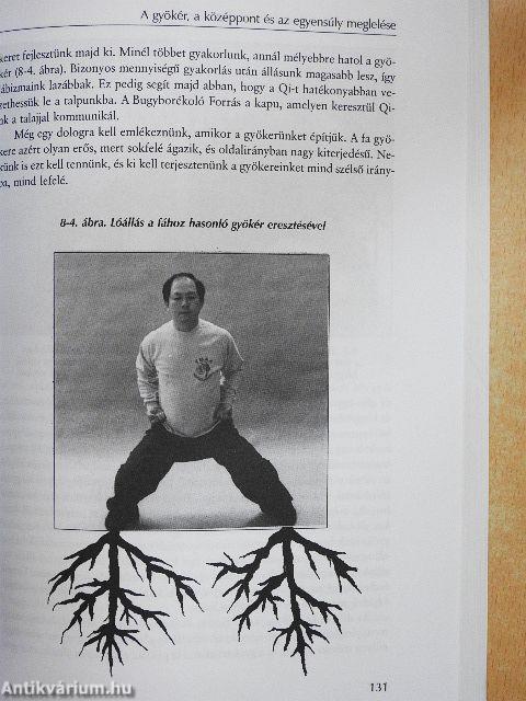 A kínai Qigong gyökere