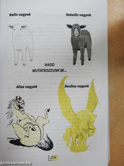 Mi a fenét keresek én itt tulajdonképpen?