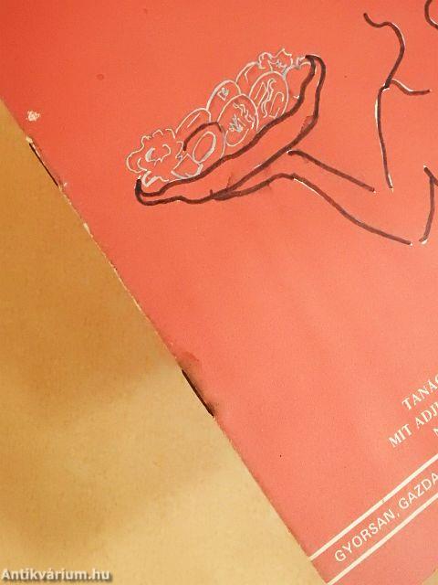 Hidegkonyha olcsón, felsőfokon