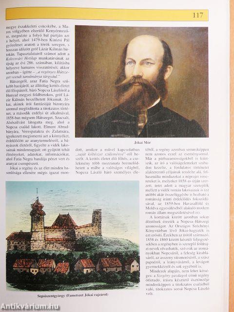 Száz rejtély a magyar irodalomból