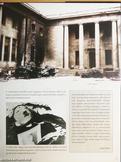 A tengelyhatalmak bukása