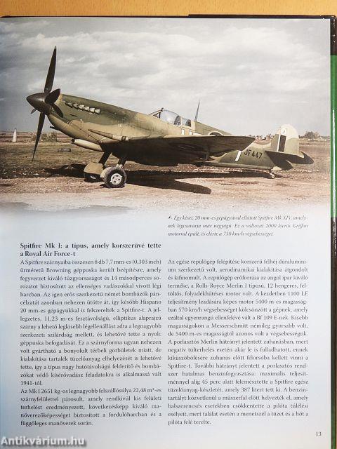 Az égbolt ragadozói