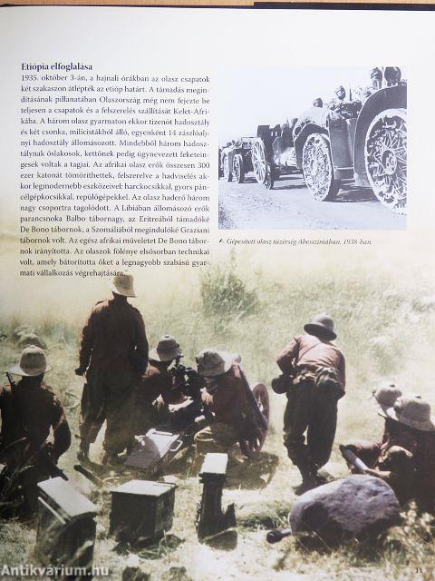 Háború a sivatagban