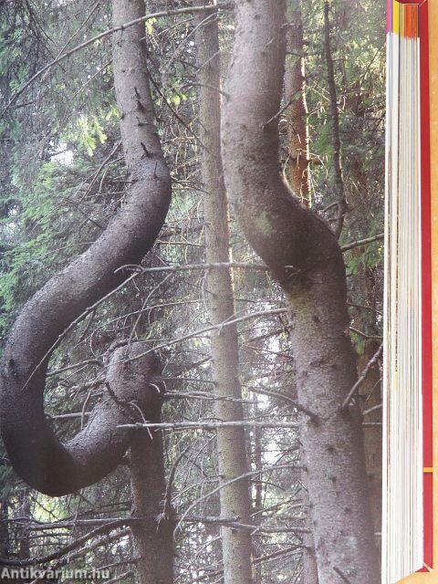 Erdély legszebb túraútvonalai