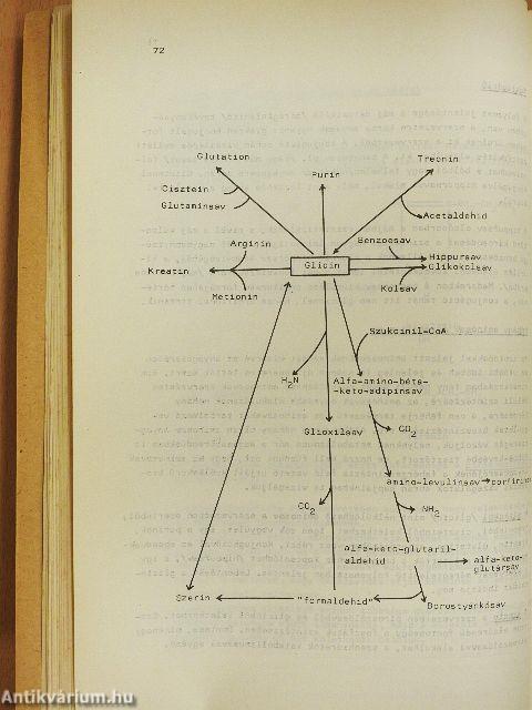 Takarmányozáskémia I.