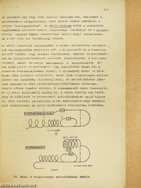 Szerves és biokémia II.