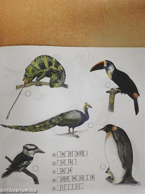 Állatokról szóló leírások