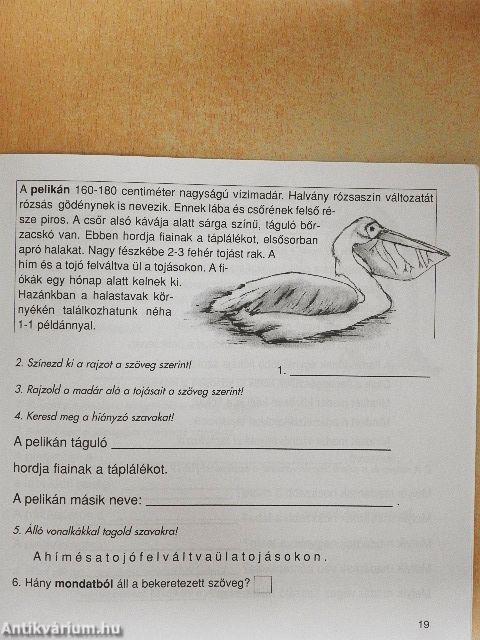 Állatokról szóló leírások