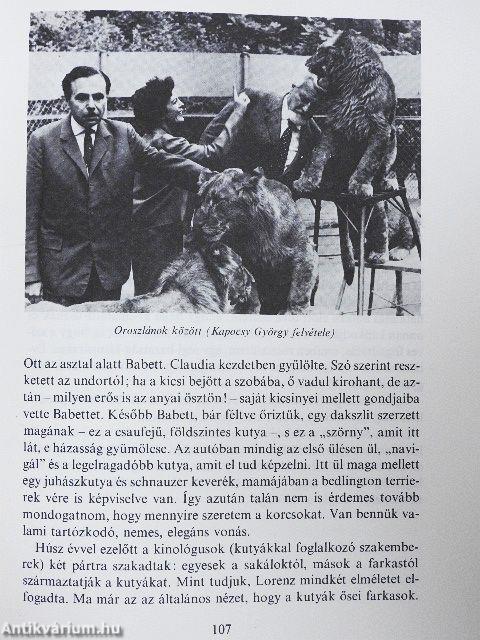 Tarkabarka állatvilág