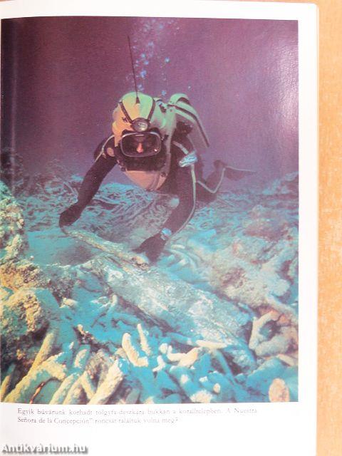 Kincskeresés a tenger mélyén