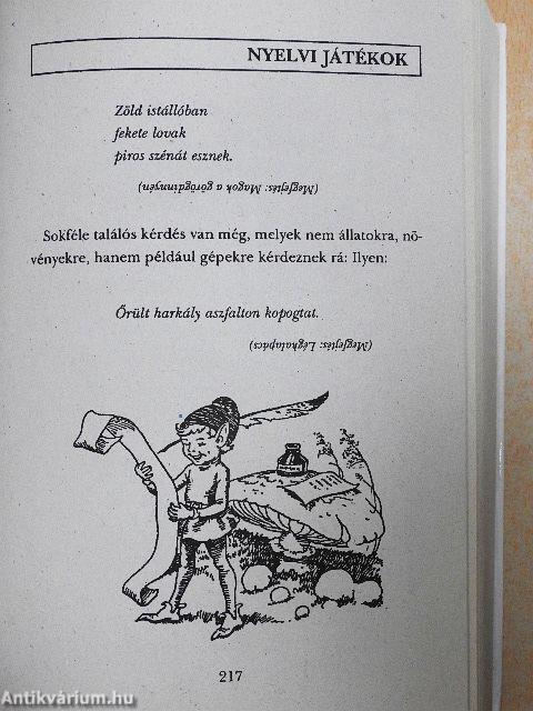Nagy játékkönyv