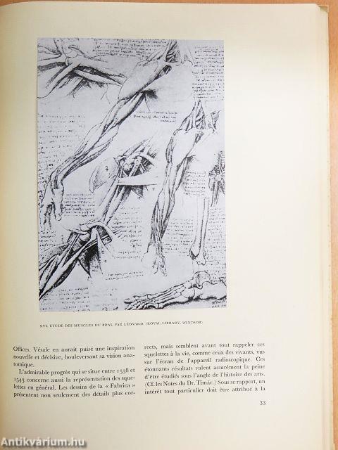 De humani corporis fabrica