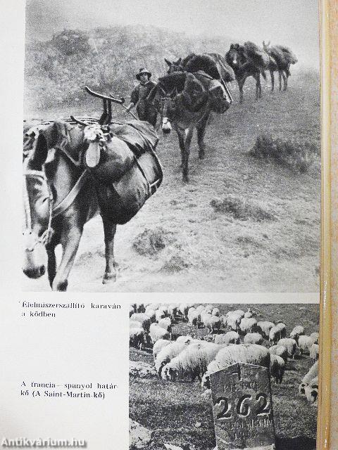 A Saint-Martin barlang titka