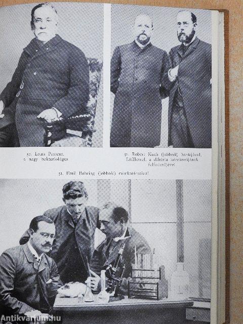 A gyógyítás diadalútja