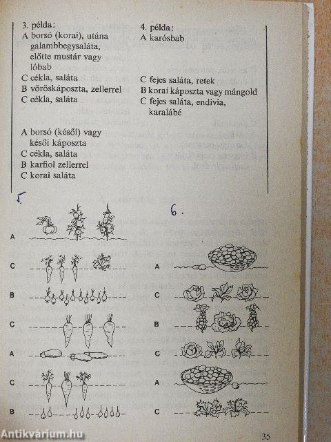 Öngyógyító kiskert