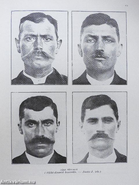 Magyar föld, magyar faj I-IV.