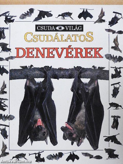 Csudálatos denevérek