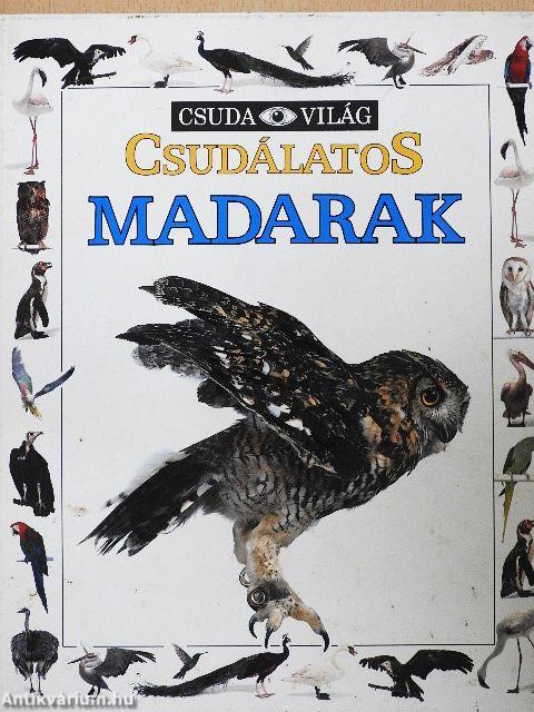 Csudálatos madarak