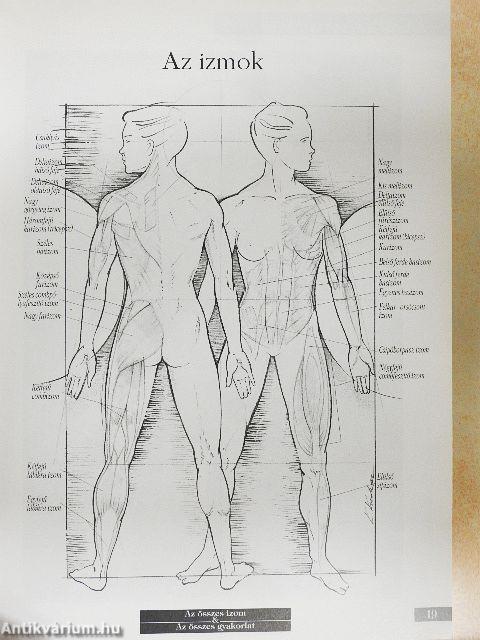 Weider enciklopédia