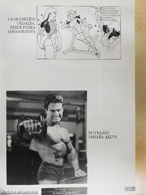 Weider enciklopédia