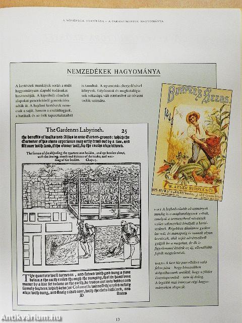 Egészséges kerti növények