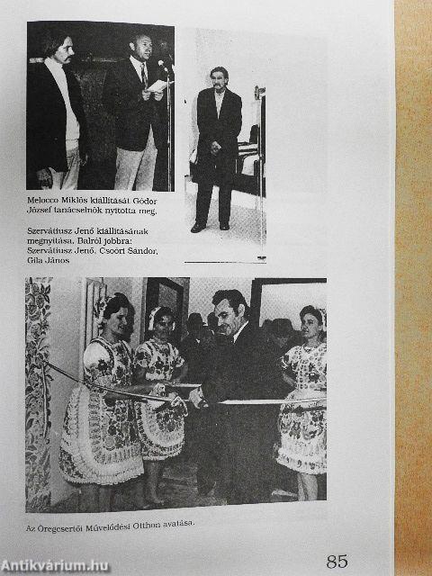 A kecskeméti Erdei Ferenc Megyei Művelődési Központ első évtizede