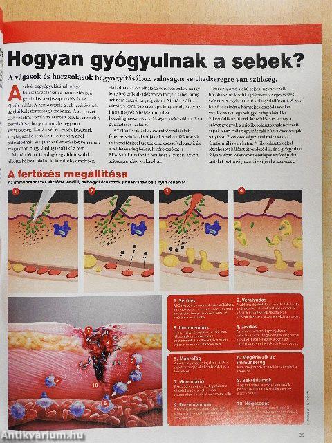 Hihetetlen tudomány