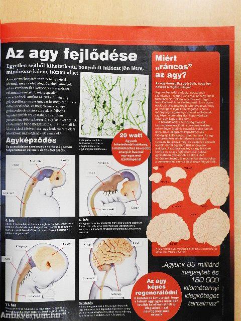 Hihetetlen tudomány