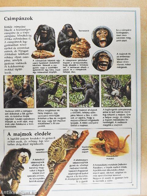 Az állatok nagy enciklopédiája