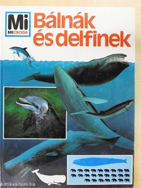 Bálnák és delfinek
