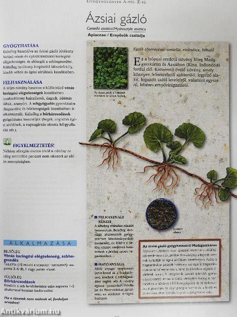 A természet füvészkertje