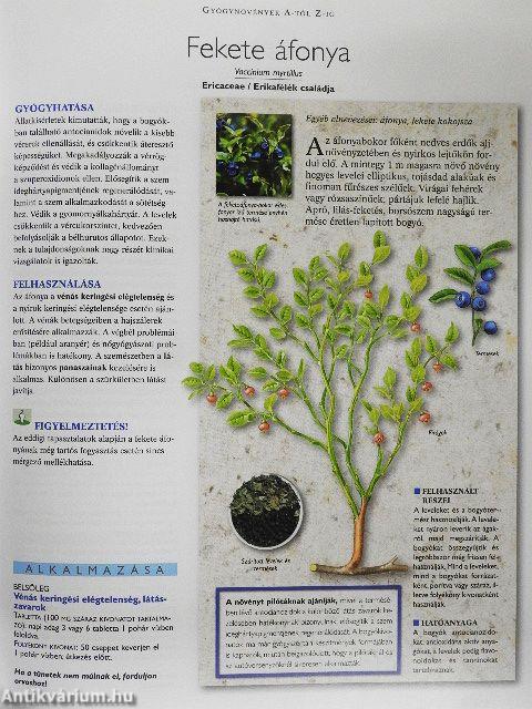 A természet füvészkertje