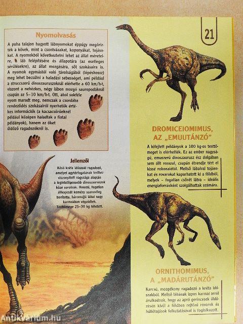 Képes dinókönyv
