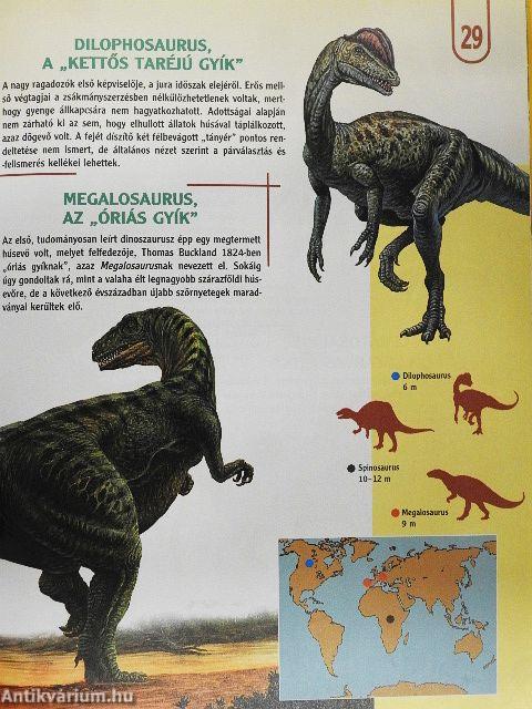 Képes dinókönyv