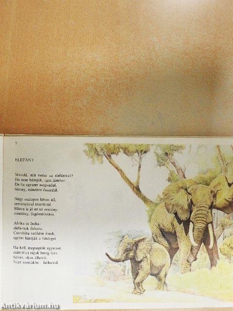 Afrika, India: vadállatok őshona