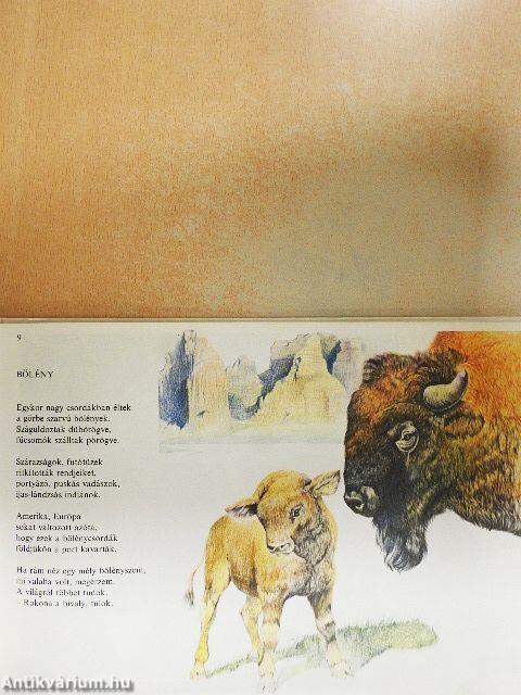 Afrika, India: vadállatok őshona